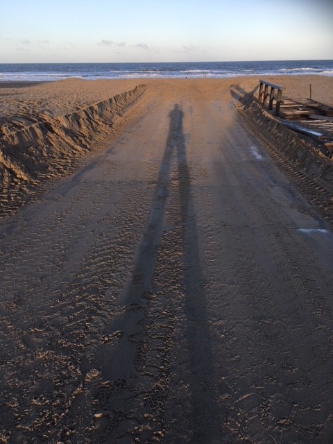 Me and My Shadow