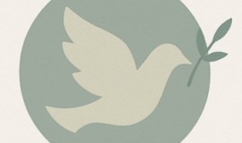 Peace Circles in The Hague