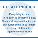 6 of Insights