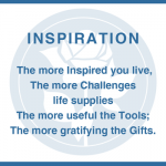 9 of Insights