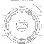 meridian flow wheel