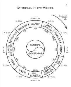 meridian flow wheel