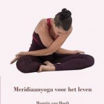meridiaanyoga voor het leven cover