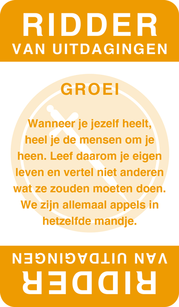 De Ridder van Uitdagingen
