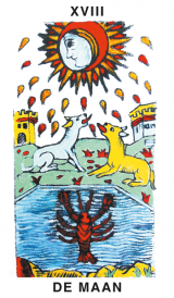 XVIII. De Maan